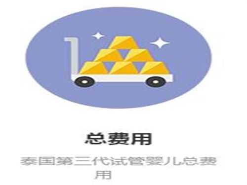 森艷精工出細活,泰國試管中介服務有保障