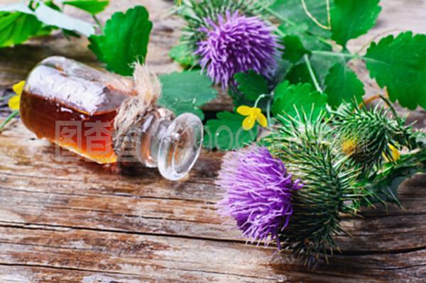 花卉與牛羚提取物 自然饋贈的植物精華及其應(yīng)用探析