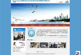 服務(wù)行業(yè)網(wǎng)站建設(shè)與設(shè)計(jì) 信息技術(shù)咨詢服務(wù)的實(shí)踐與案例